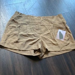 Brand New Khaki Dressy Shorts